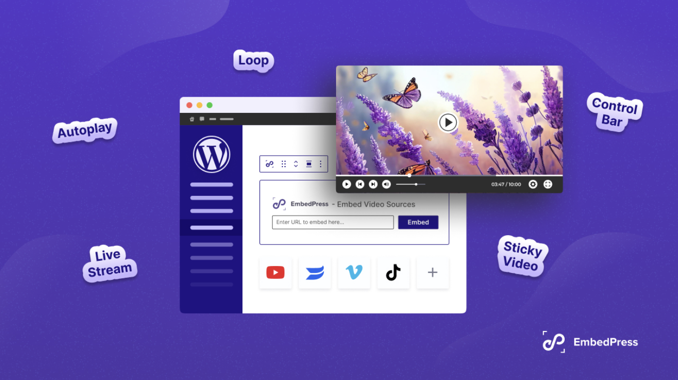 embed in WordPress