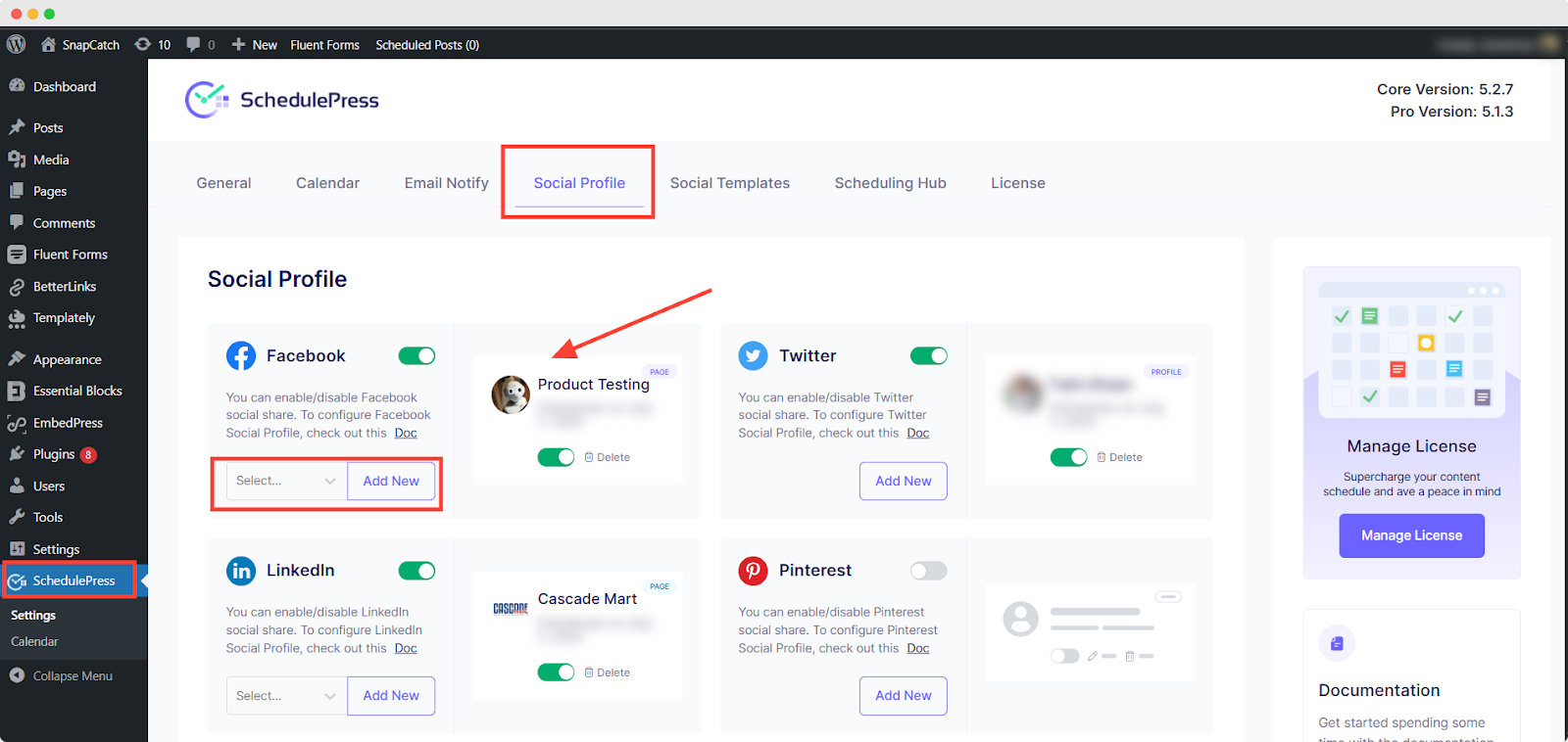 social media management in WordPress
